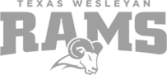 School-Logos-Grey_0003_Texas-Wesleyan.png